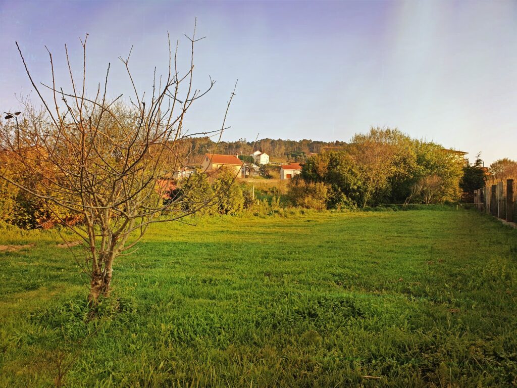 IMG-20200331-WA0018